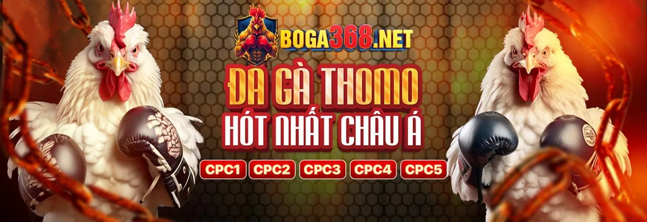 Đội ngũ hỗ trợ 888 casino trực tuyến 24/7